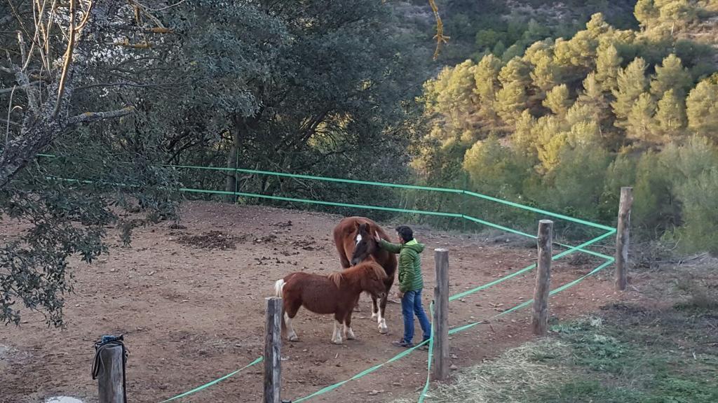 Masia Casajoana Rural Rellinars Exteriér fotografie