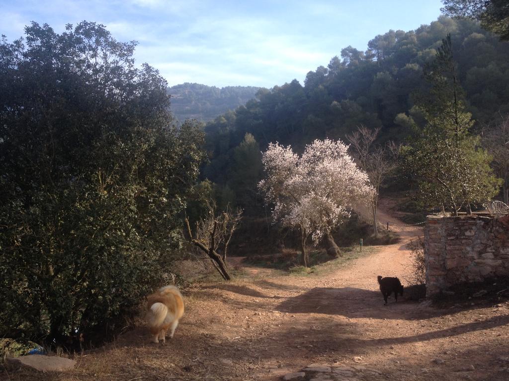 Masia Casajoana Rural Rellinars Exteriér fotografie