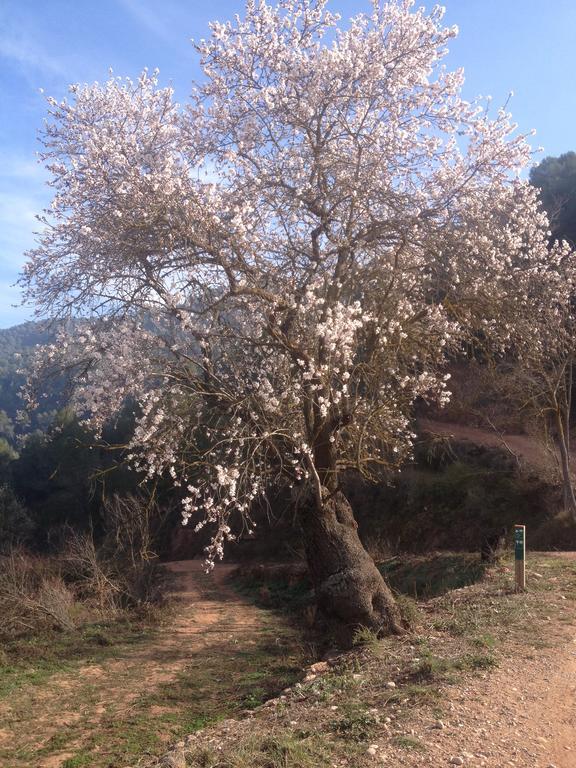 Masia Casajoana Rural Rellinars Exteriér fotografie