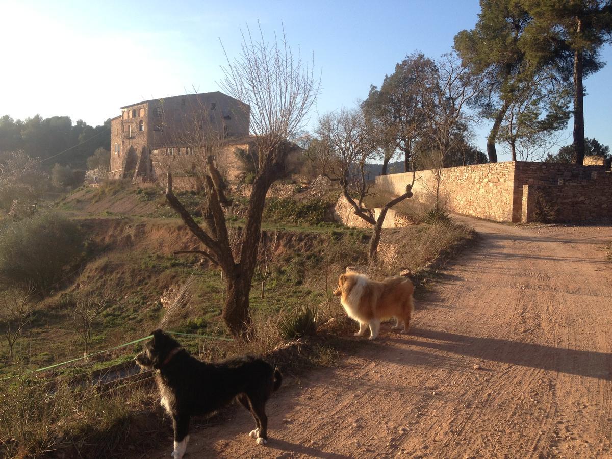 Masia Casajoana Rural Rellinars Exteriér fotografie