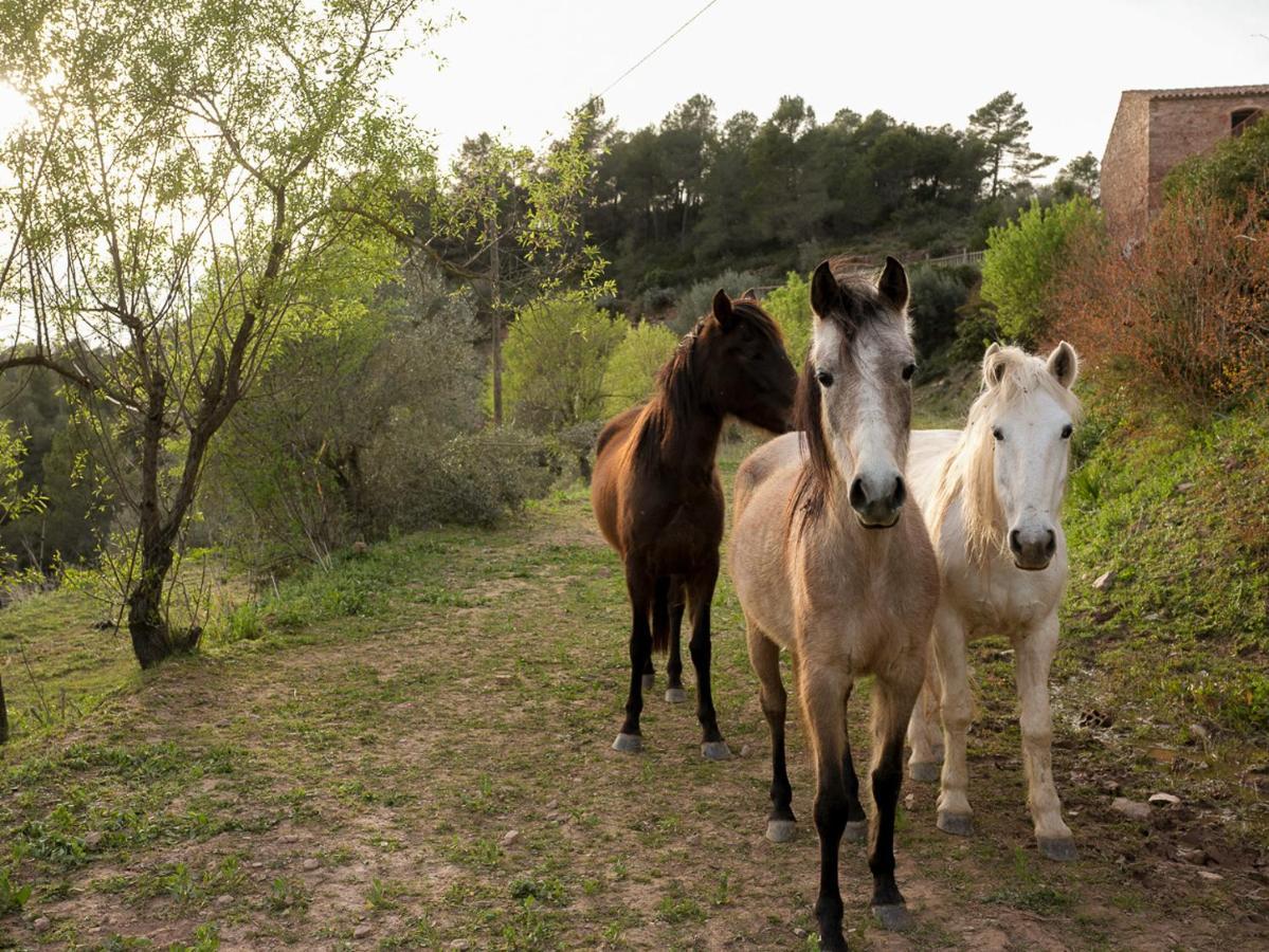 Masia Casajoana Rural Rellinars Exteriér fotografie
